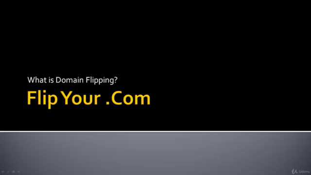 Domain Marketing: Profit From Buying And Selling Domains - Screenshot_01