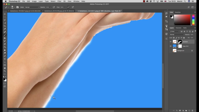 Mastering Selections and Masks in Photoshop – Screenshot 2