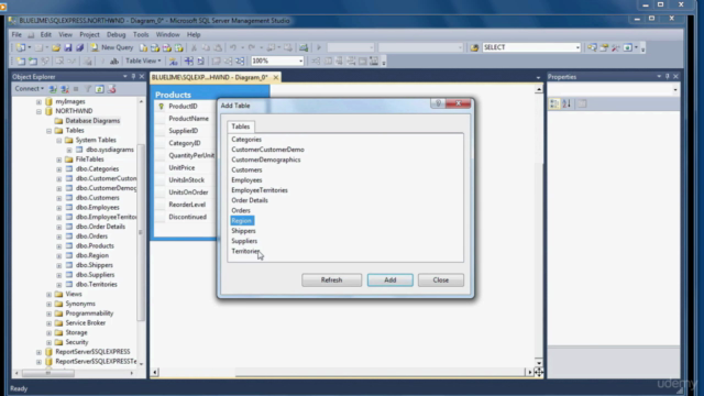 Beginner Data Analysis Using SQL and Microsoft SQL Server - Screenshot_01