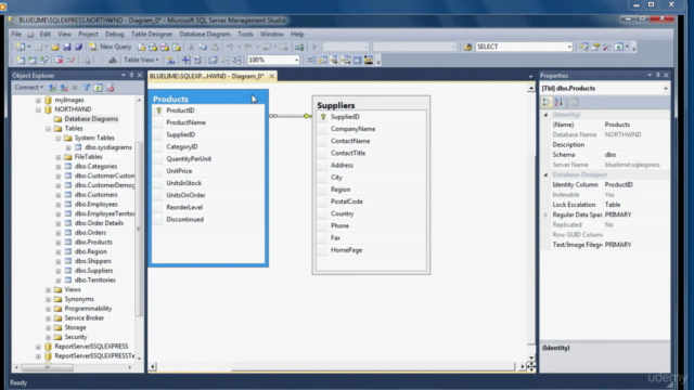 Beginner Data Analysis Using SQL and Microsoft SQL Server - Screenshot_02