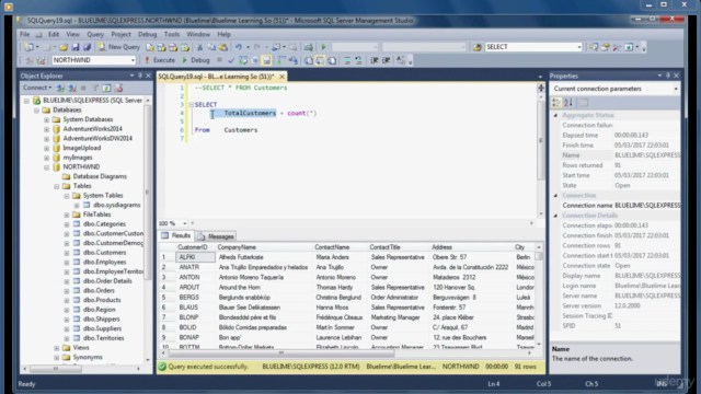 Beginner Data Analysis Using SQL and Microsoft SQL Server - Screenshot_03