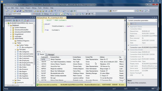 Beginner Data Analysis Using SQL and Microsoft SQL Server - Screenshot_04