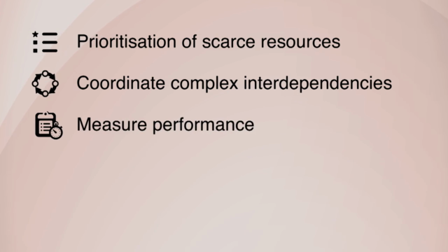 Project Portfolio Management (PPM) Essentials – Screenshot 2