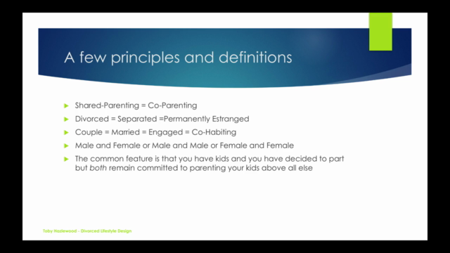Coparenting - The Theory And The Practice – Screenshot 3