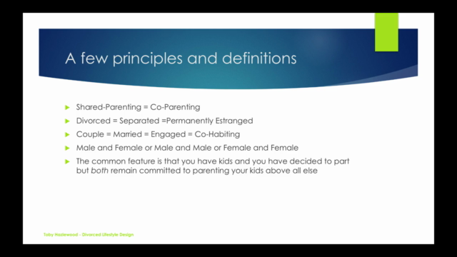 Coparenting - The Theory And The Practice – Screenshot 4