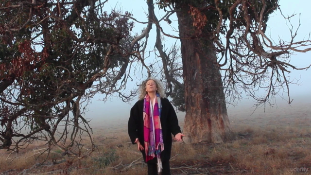 Walking Between Worlds Faery Shamanism for the Modern Mystic – Screenshot 1