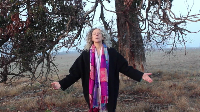 Walking Between Worlds Faery Shamanism for the Modern Mystic – Screenshot 2
