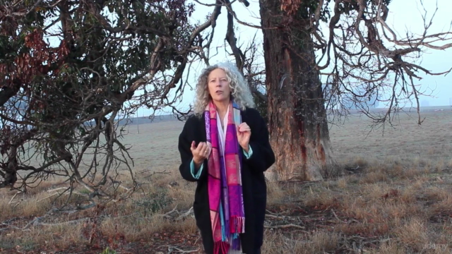 Walking Between Worlds Faery Shamanism for the Modern Mystic – Screenshot 3