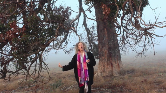 Walking Between Worlds Faery Shamanism for the Modern Mystic – Screenshot 4