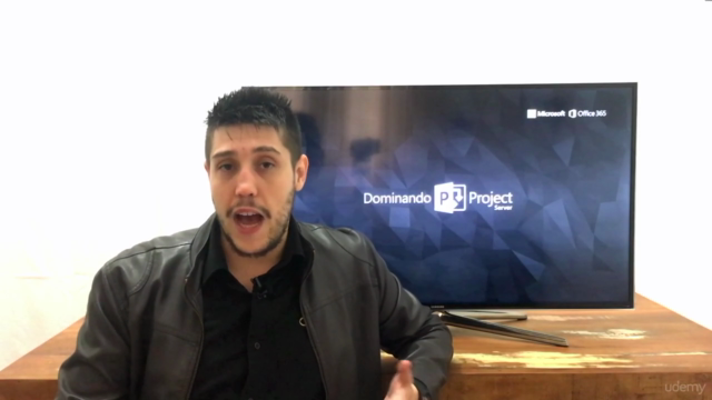 Project Online - Análise de Portfólio de Projetos – Screenshot 2