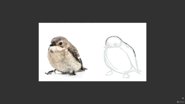 Learn How to Draw Anything! In 3 Simple Steps – Screenshot 2