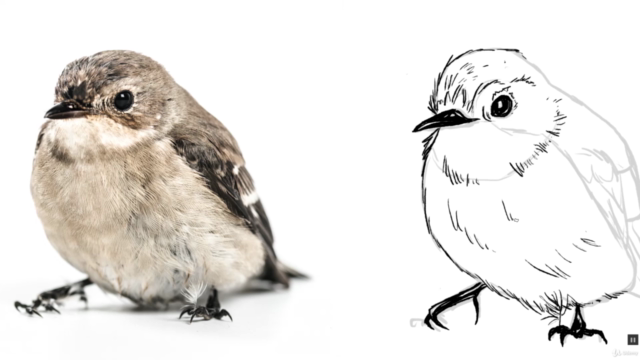 Learn How to Draw Anything! In 3 Simple Steps – Screenshot 3