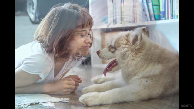 Animal Communication For beginners – Screenshot 1