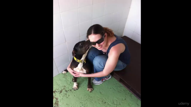 Animal Communication For beginners – Screenshot 2