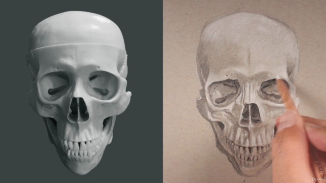 Portrait Drawing The Smart Way – Screenshot 2