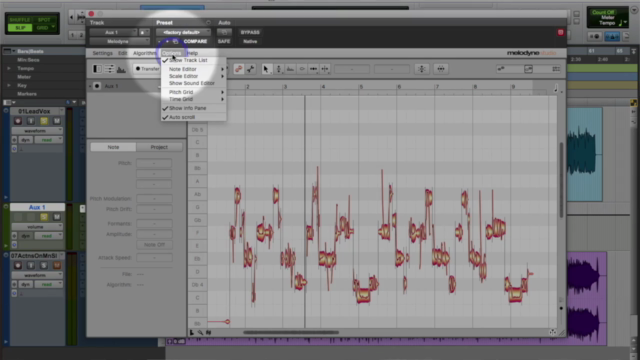 Melodyne: Pitch Correction and Beyond – Screenshot 3