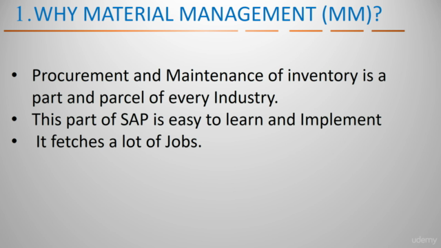 SAP MM & PM Modules – Screenshot 2