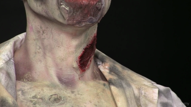 Special Effects (fx) Makeup Level 1 – Screenshot 3