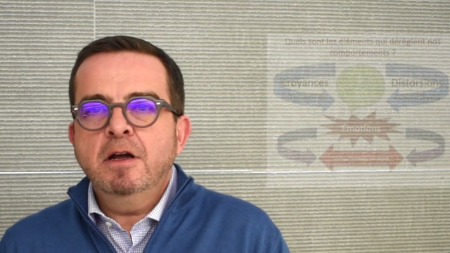 L’intelligence émotionnelle – Screenshot 4