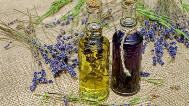 Professional Qualified Aromatherapy Practitioner Diploma – Screenshot 1
