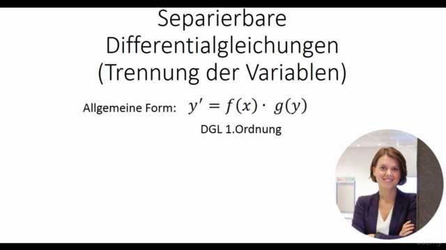 Differentialgleichungen lösen I (DGLs I) – Screenshot 2
