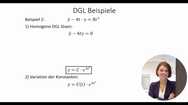 Differentialgleichungen lösen I (DGLs I) – Screenshot 3