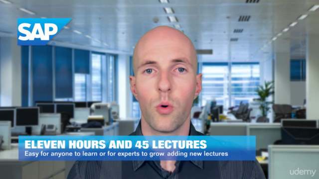 Crystal Reports for SAP Business One Mastery Training Course – Screenshot 3