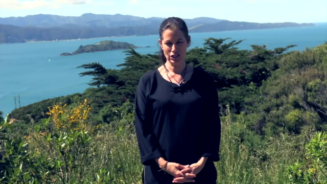Tai Chi 5 Minutes a Day Beginners Course – Screenshot 2