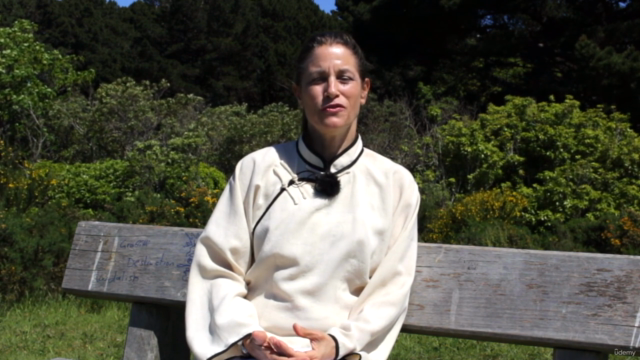 Important fundamentals of Traditional Tai Chi – Screenshot 3