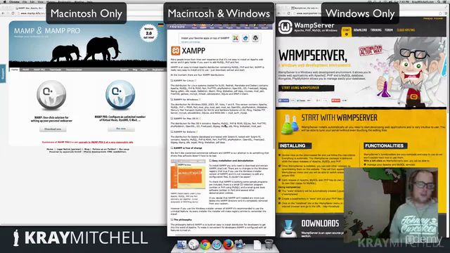 Local Development Environments for Web Design – Screenshot 2