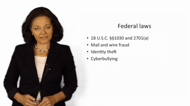 Cybersecurity and Criminal Law: What you need to know – Screenshot 3