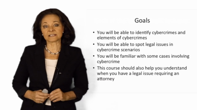 Cybersecurity and Criminal Law: What you need to know – Screenshot 4