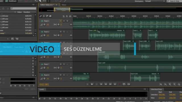 Türkçe Adobe After Effects Temel Eğitim Ve Logo Animasyon – Screenshot 1