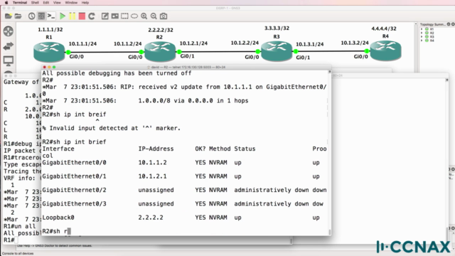 RIP troubleshooting: Cisco CCNA preparation – Screenshot 3