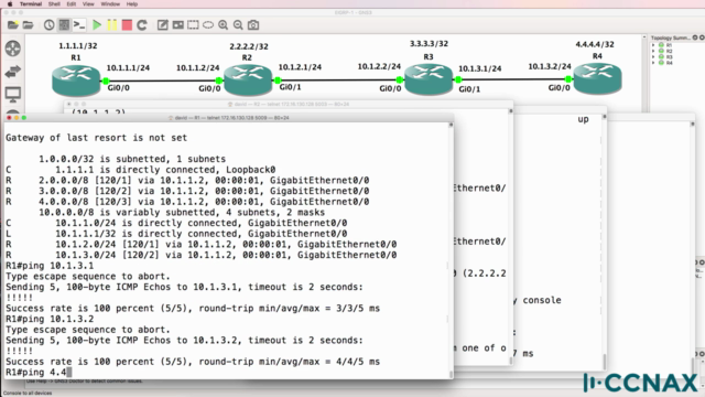 RIP troubleshooting: Cisco CCNA preparation – Screenshot 4