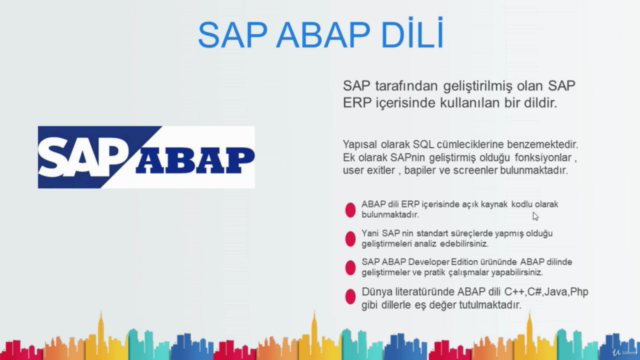 SAP ABAP : Temel Seviye ABAP Eğitim Seti – Screenshot 1