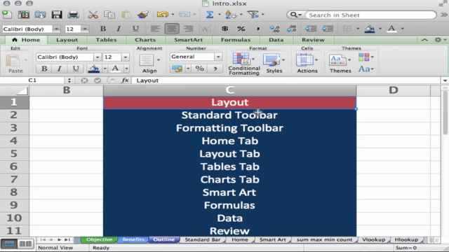 Microsoft Excel Beginner and Intermediate with Certificate – Screenshot 2