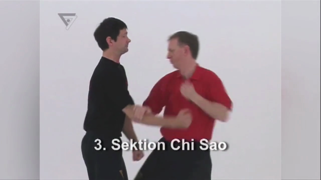 WT-Kampfkunst (Lehrerprogramm 1) – Screenshot 1