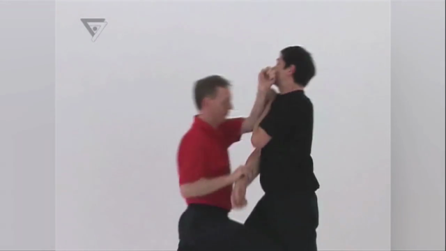 WT-Kampfkunst (Lehrerprogramm 1) – Screenshot 4