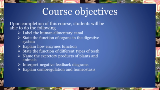 Biology 101: Introduction to Digestion and Excretion – Screenshot 2