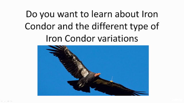 Mastering High Probability Iron Condor Options Trading - Screenshot_01