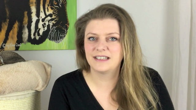 Konfliktlösung im Mehrkatzenhaushalt – Screenshot 2