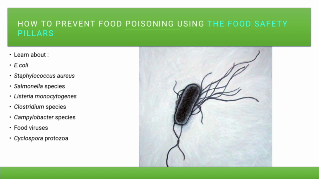 How to Prevent Food Poisoning using The Food Safety Pillars – Screenshot 2