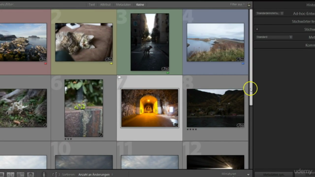 Adobe Lightroom: Alles komplett von A bis Z inkl. Plugins – Screenshot 2
