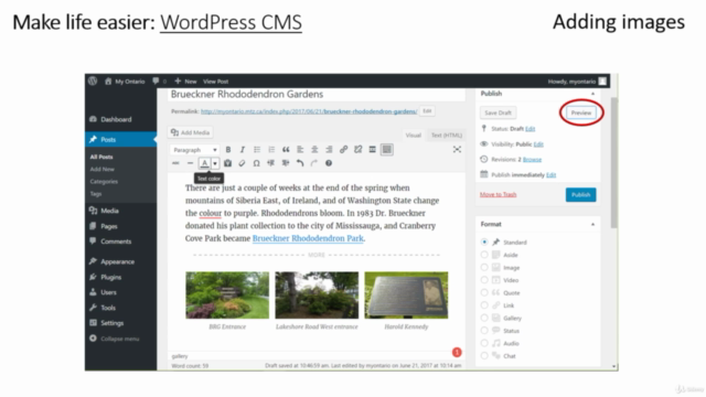 Introduction to web development – Screenshot 4
