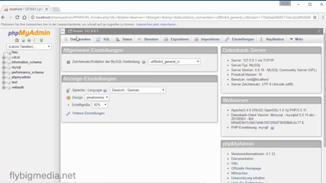 Schritt für Schritt zum eigenen Magento Online-Shop – Screenshot 1