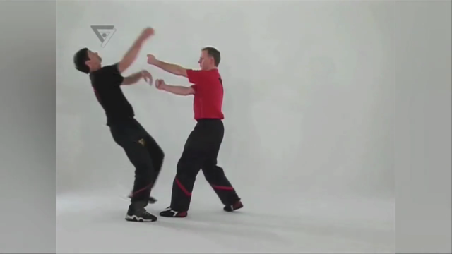 WT-Kampfkunst (Lehrerprogramm 2) – Screenshot 3