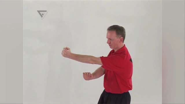 WT-Kampfkunst (Lehrerprogramm 2) – Screenshot 4