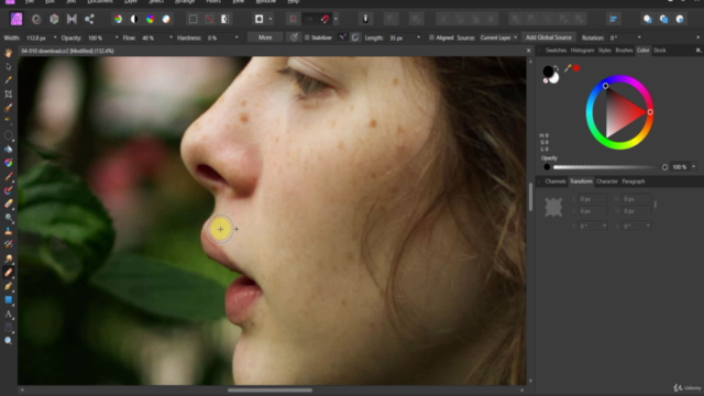 Affinity Photo: Master Photo Editing in Affinity Photo 2 – Screenshot 4