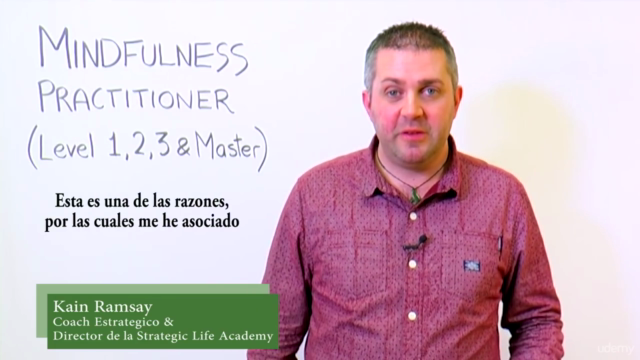 Curso Certificado de Mindfulness (Niveles I II III & Master) – Screenshot 3